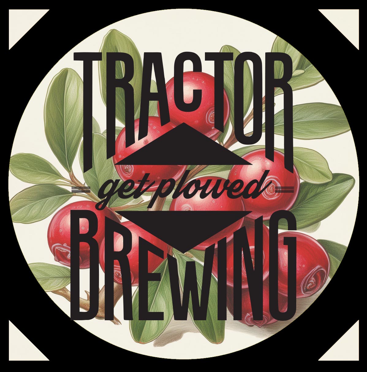 Cranberry Ginger Cider