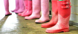 Pink Boots Melissa